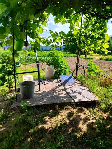 Шевченківська