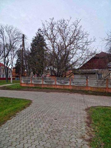 квартира на землі у самому центрі міста