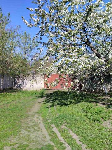Здам в аренда будинок на літо або довгостроково