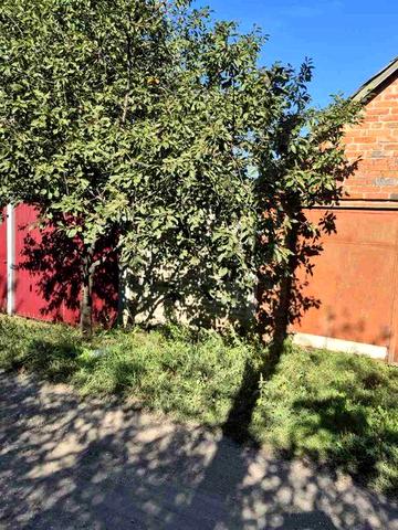 Продам деревʼяний будинок в смт.Буди. ТОРГ