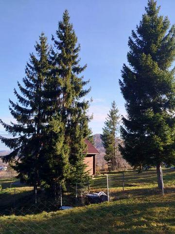 Котедж, будинок в Карпатах, 10 сотих землі, ліс, краєвиди