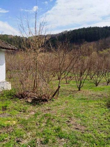 Продається будинок з ділянкою в с. Юрківці Могилів-Подільського р-ну