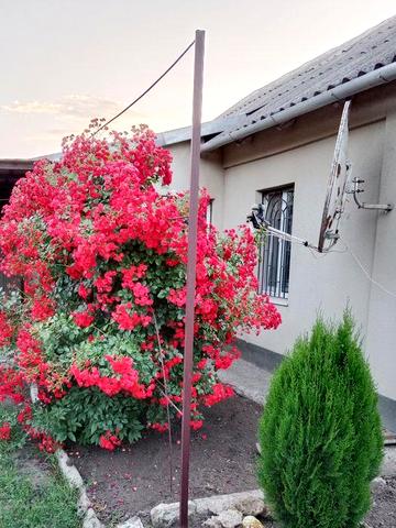 Самый центр,5 мин от ЖД вокзала. Дом.г.Раздельная.