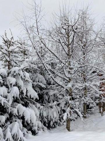 Здається котедж в Поляниці(Буковель)