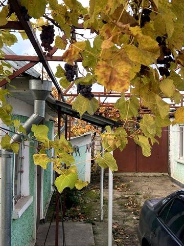 Продам будинок терміново!