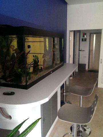 Сдам однокомнатную квартиру в ЖК Армейский