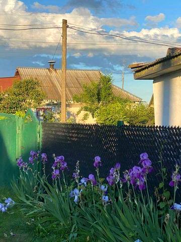 Продається будинок в Грицеві