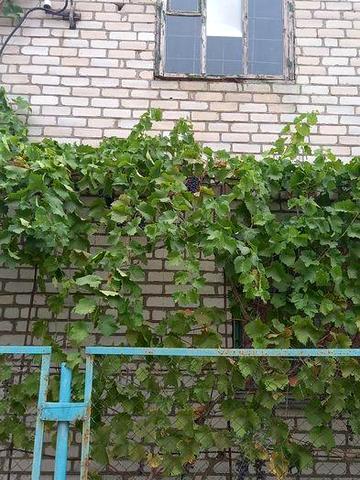 Продается дача в районе озера Песчаное