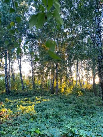 Нещерів, Обухівський, Київська область 170000 USD