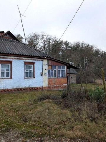 Здам в оренду будинок у селі