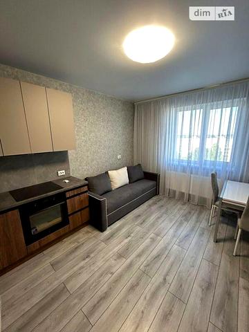 Довгострокова оренда 1к Квартира Чорних Запорожців (Леваневського) вулиця ЖК Мрия