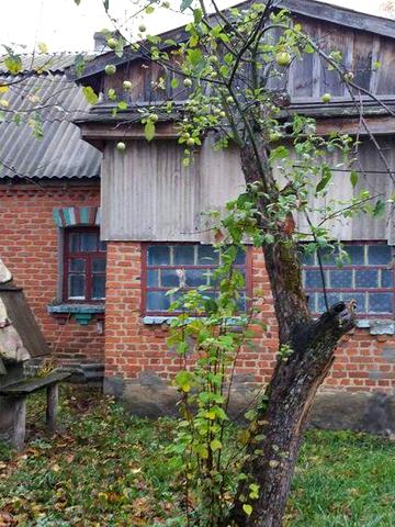 Дім в Абрамовці Вишгородській район