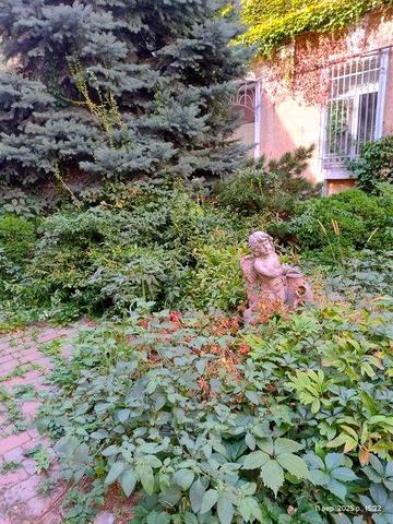 Сдам длительно 1 ком.квартиру  Центр/ Воронцовский пер,1 этаж