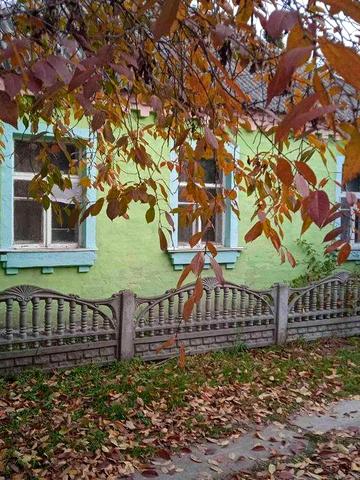 Будинок в селі Митниця Київська обл