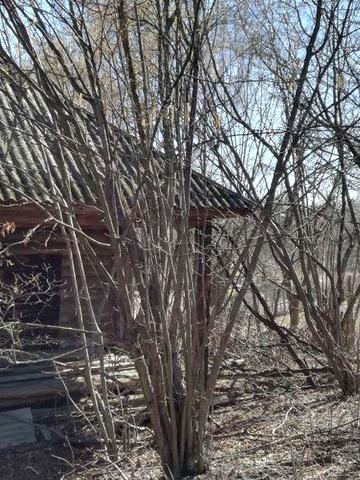 Будинок недалеко від центра