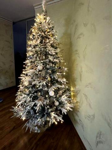 Оренда просторого будинку 2 км від Ужгорода