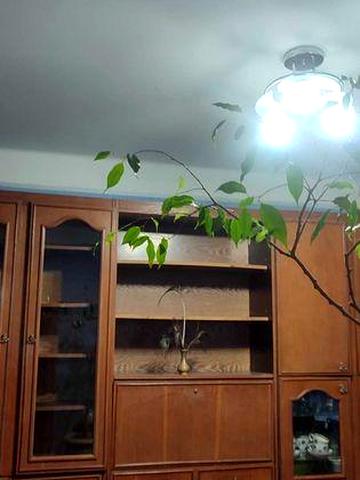 с 30.12 Аренда 1 ком.кв. ул.  Европейская