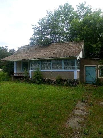 Будинок з господарськими будівлями, 50 соток, Нова Ушиця, с. Івашківці