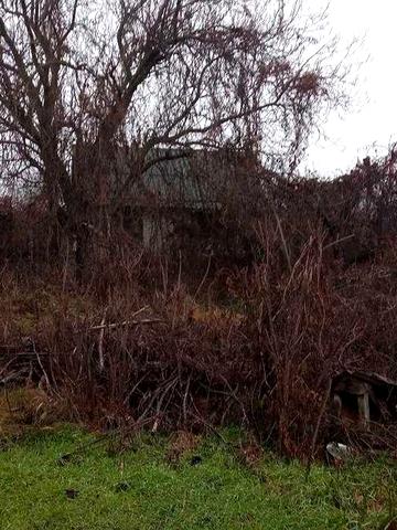 Продам будинок і земельну ділянку в с. Успенка .