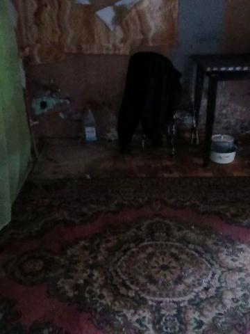 Сдам времянку не дорого.