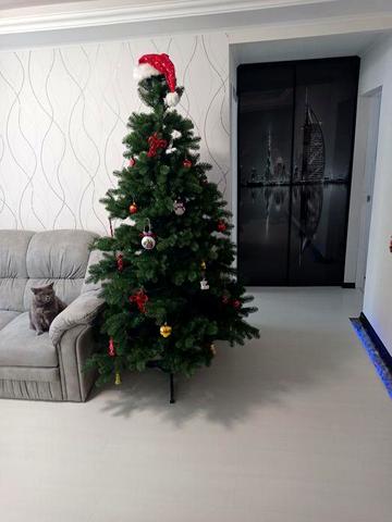 Продається трикімнатна квартира студія ЖК Бельфорський