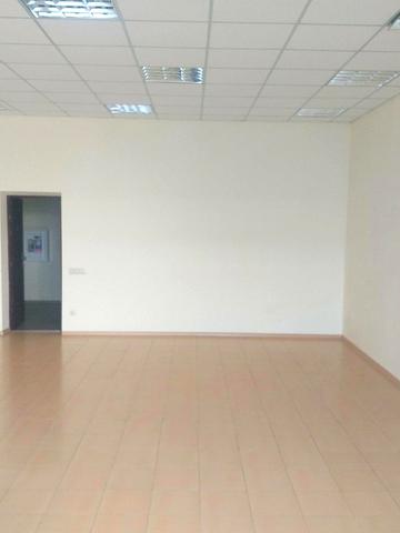 Шолуденка, 281