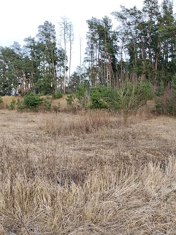 Ковпаківський, Суми, Сумська область 42000 USD