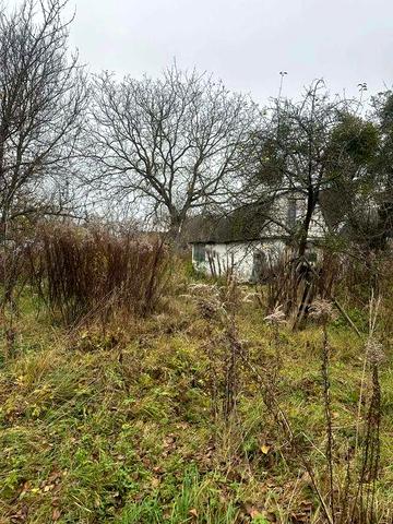 Житловий будинок в с. Старий Кривин