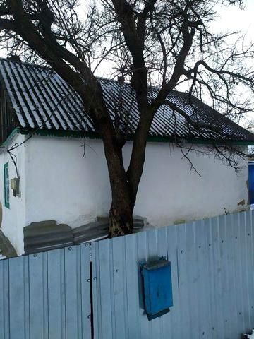 Хата в селі Росава