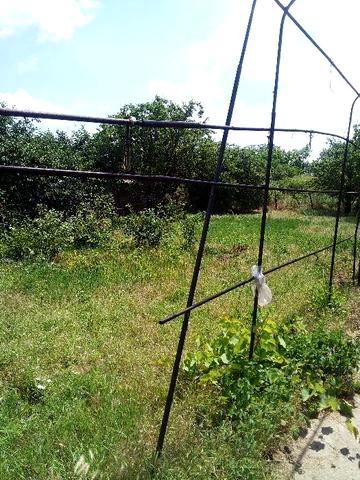 Дом продам/ обмен  с доплатой,  ,Ст. Выгода.