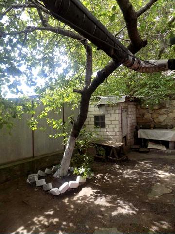 пров. Шкапіна