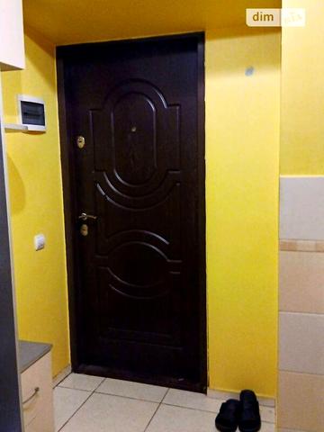 Довгострокова оренда 1к Квартира Князя Романа вулиця