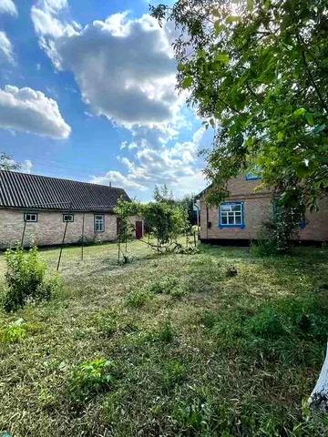 Продам будинок / дача / дом в селі (власник)