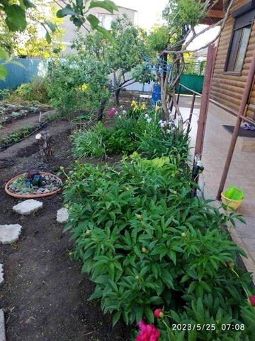 Элитный эко-дом из натурального дерева, 3 спальни,скважина Н.Дафиновка