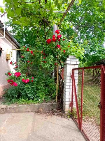 Продаю дачный домик в пригороде в хорошем месте