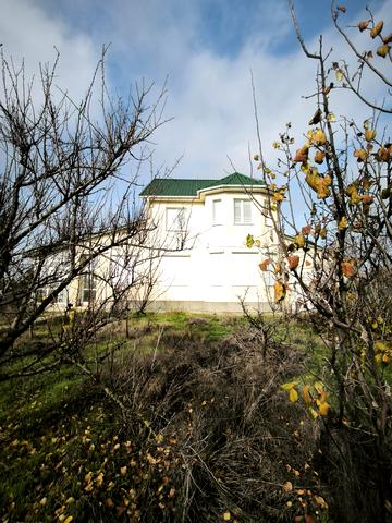 Придністровська, 5