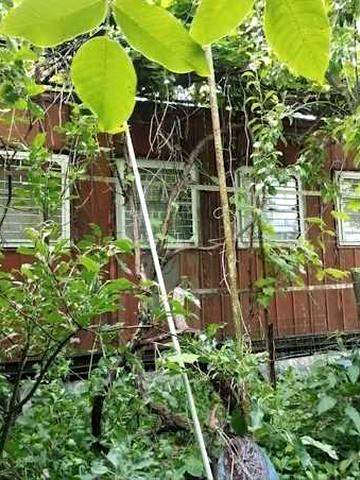 Продаж дачі в Бердичівському районі