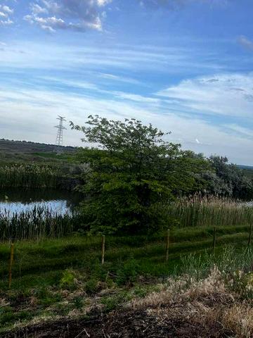 Продам дачу на берегу речки