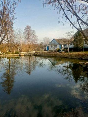 Будинок з ставком та банею