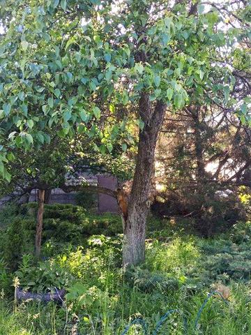 сдам будинок в оренду працьовитій сімї в Аулах