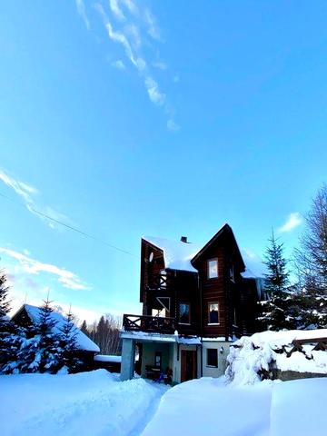 Будинок в Карпатах