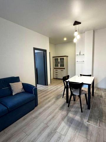 1 комнатная жк Пространство Каманина  Аркадия