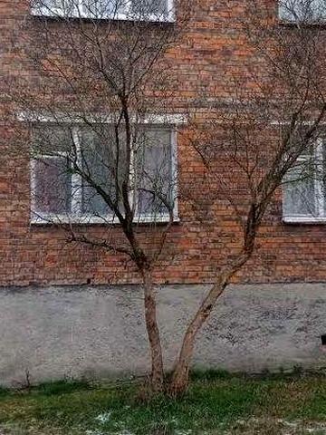 Продаж квартири , може бути під комерцію Шептицький, власник