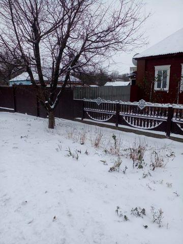 Приватний будинок центр міста Буринь