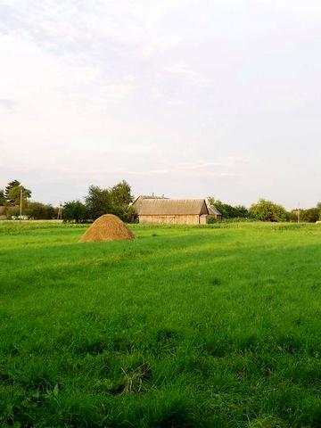 Продається земельна ділянка з будинком у селі Суськ | 30 км від Луцька