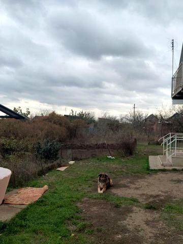 Обменяю на авто, дачу.