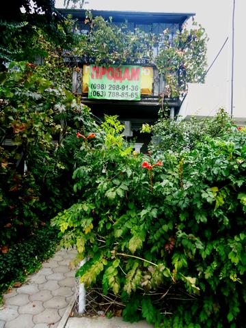 Панаса Саксаганського вул. (Дунаєва), 34