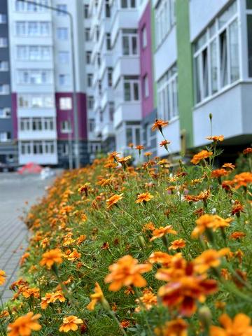 Продається 1-кімнатна квартира