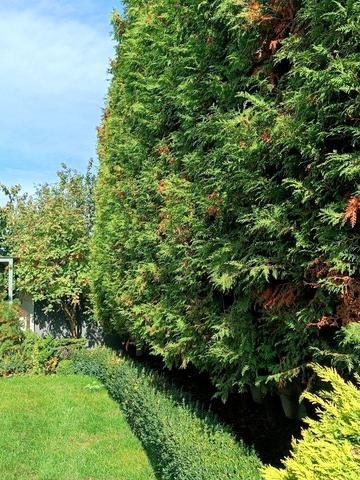 Педагогічна вул., 1