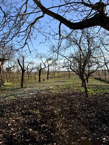 Продаю власний будинок в Закарпатській обл, с.Свобода